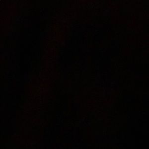 Meet your Posher, Shimmy